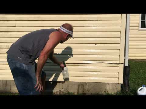 How to get mold stains off vinyl siding in 5 minutes